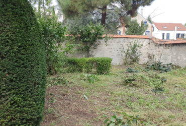 taille de haie entretien jardin la garenne colombes